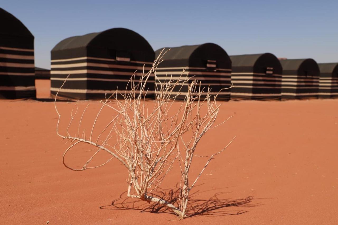 Desert Shine Camp Wadi Rum Exterior photo